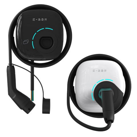 E BOR F IM EC 800x800