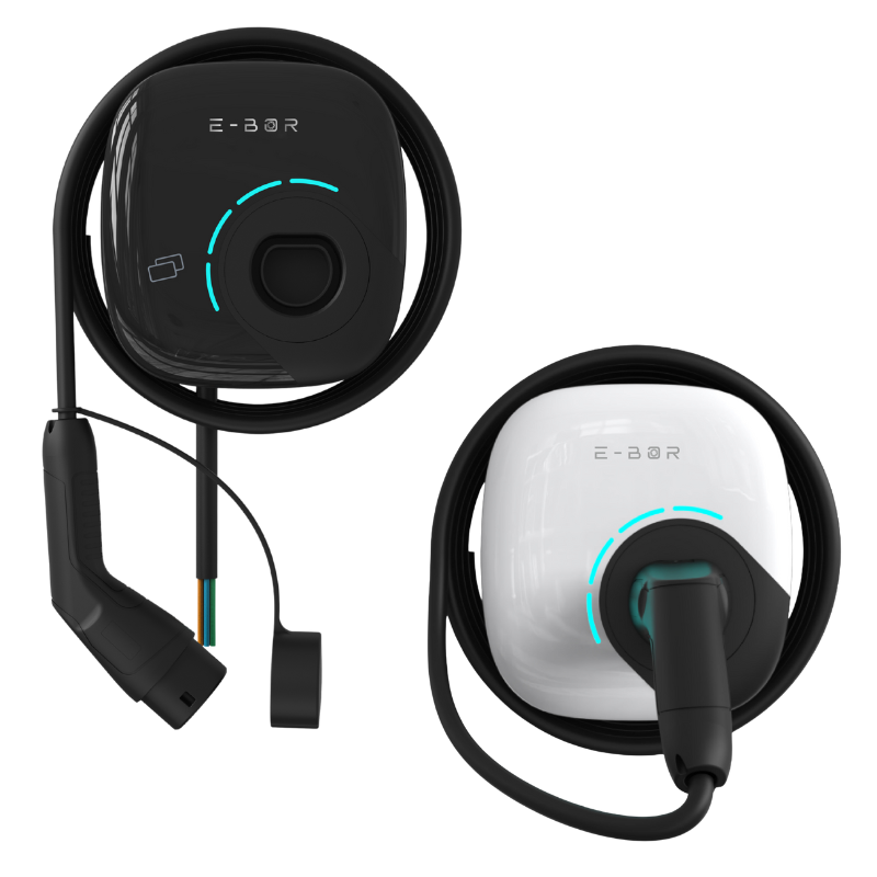 E BOR F IM EC 800x800